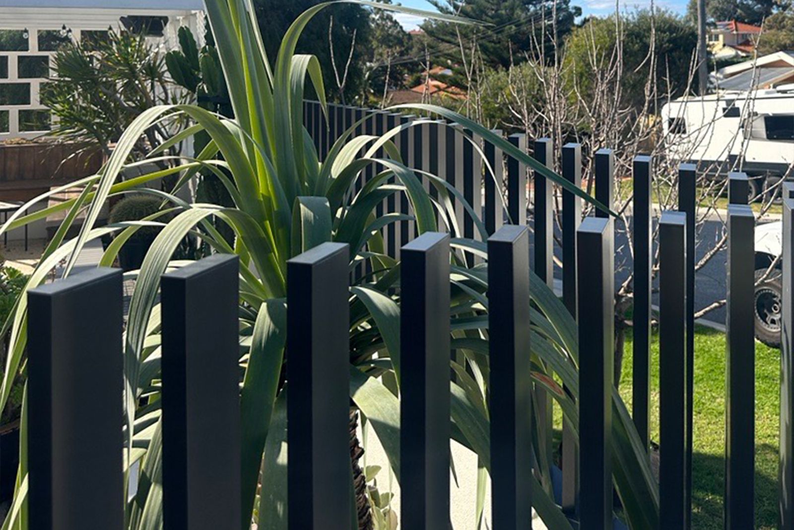 A charcoal aluminium front fence with a large yucca behind it and the street beyond
